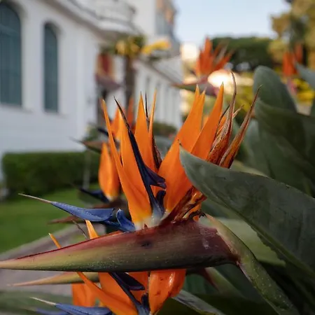 Blu In Historical Hunbury * Bordighera